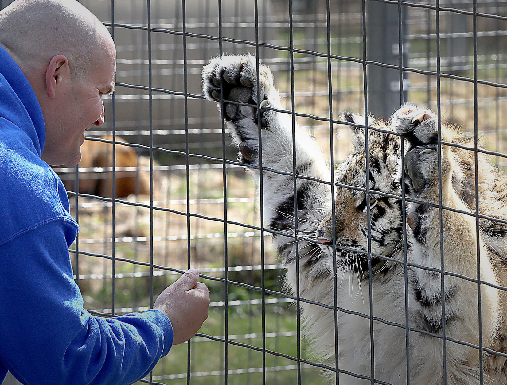 Wisconsin Big Cat Rescue & Education Center